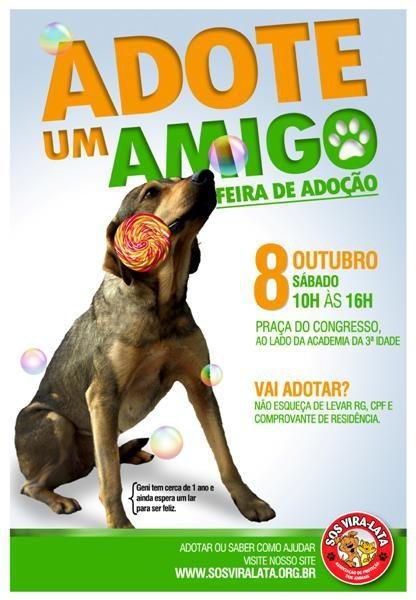 Feira de adoção de cães alusiva ao Dia das Crianças