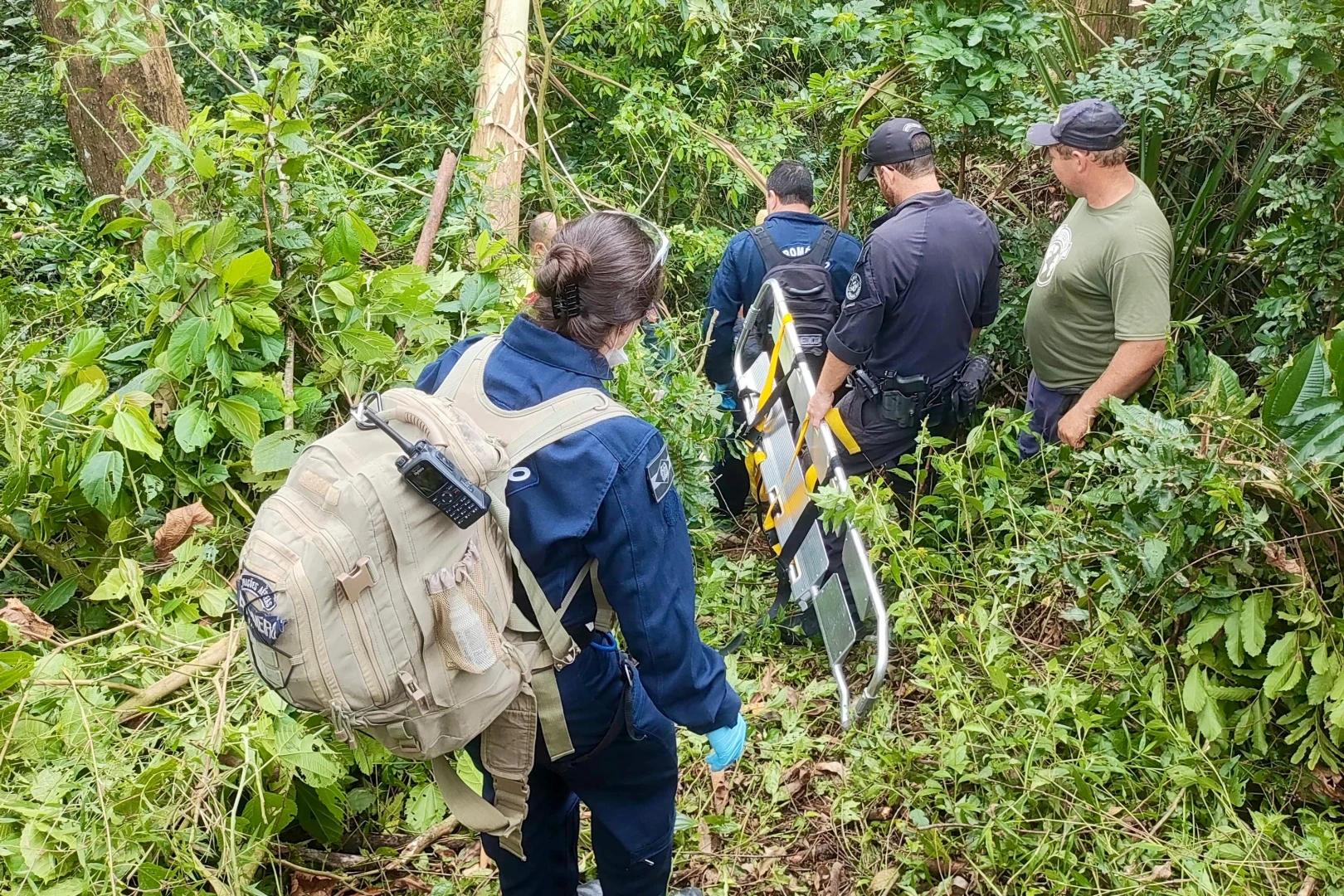 Homem é resgatado de área de mata depois de cair de árvore