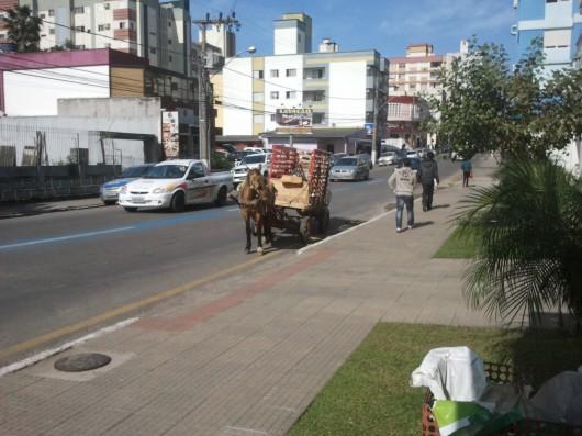 Carroceiros serão recadastrados