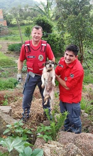 Bombeiros salvam cão que ficou preso entre rochas