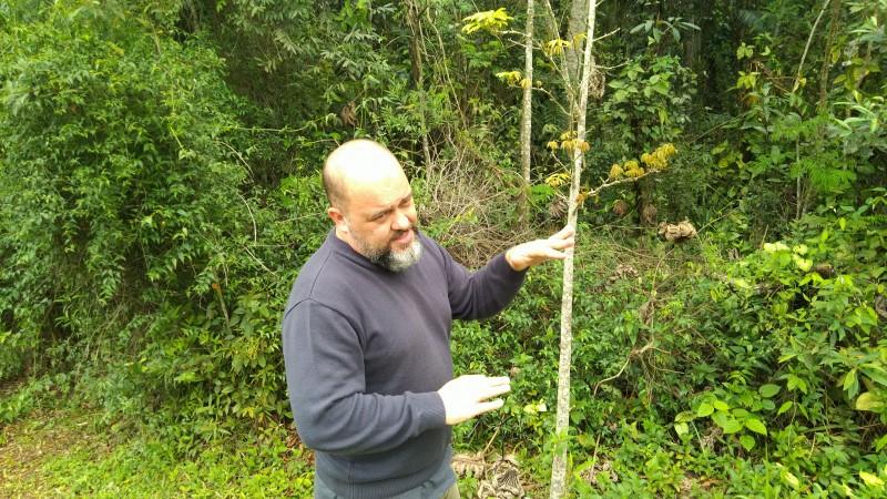 Fragmentos florestais de mata nativa integram espaços de educação ambiental da Satc  