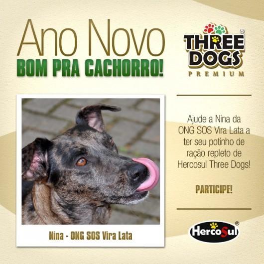 Vote na Nina e ajude a S.O.S. Vira-lata!