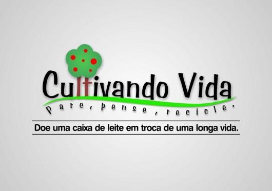 Áreas degradadas de Jacinto Machado receberão 11 mil mudas de árvores