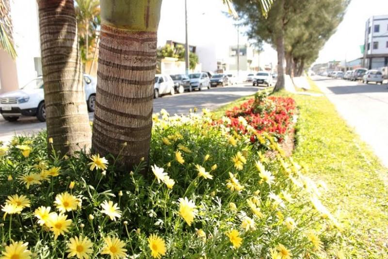 Flores anunciam a Primavera no Balneário Rincão
