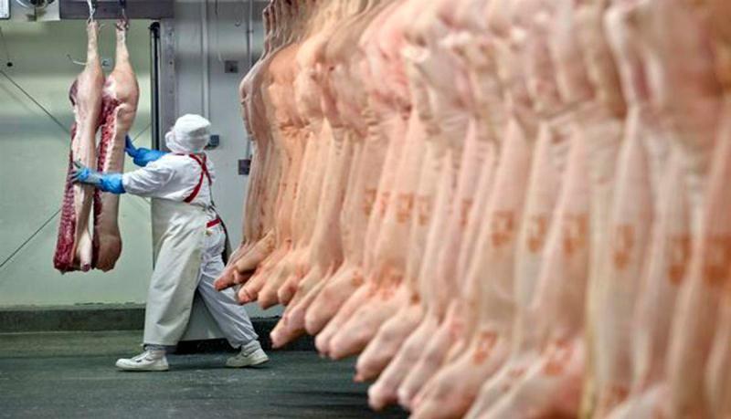 Estado amplia exportações de carne suína para China, Chile e Argentina