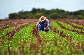 Produtores têm até 30 de maio para aderir ao Funrural