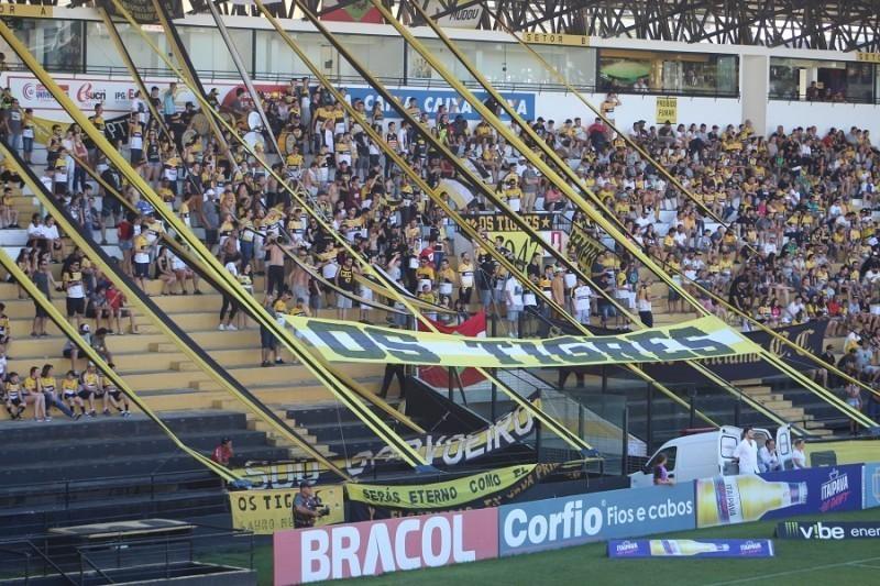 Tigre: última semana para se associar ao clube com preço de R$ 50 no plano ouro 