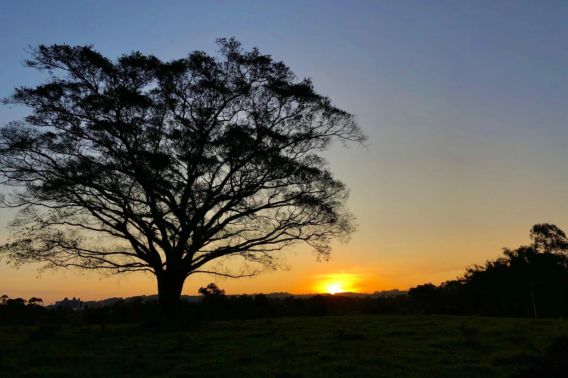 Sol, calor e frio: saiba a previsão do tempo desta semana