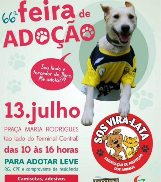 Feira de adoção neste sábado, na praça Maria Rodrigues, em Criciúma