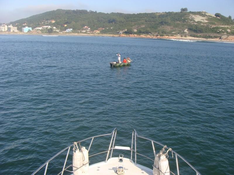 Pesquisa avalia impacto de embarcações de turismo às baleias