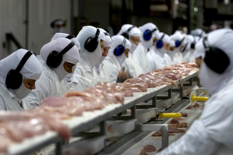 Santa Catarina registra alta de 4,8% nas exportações no ano