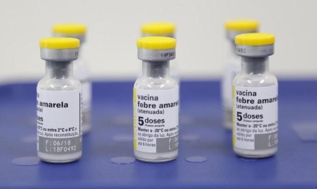 Estado confirma segunda morte por febre amarela em 2020 e reforça importância da vacina