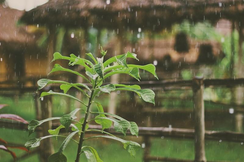 Fim de semana terá céu nublado e pancadas de chuva no Sul catarinense 