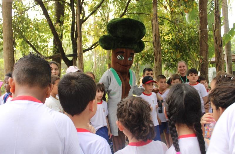 Horto Florestal de Criciúma ganha meliponário e trilha ecológica