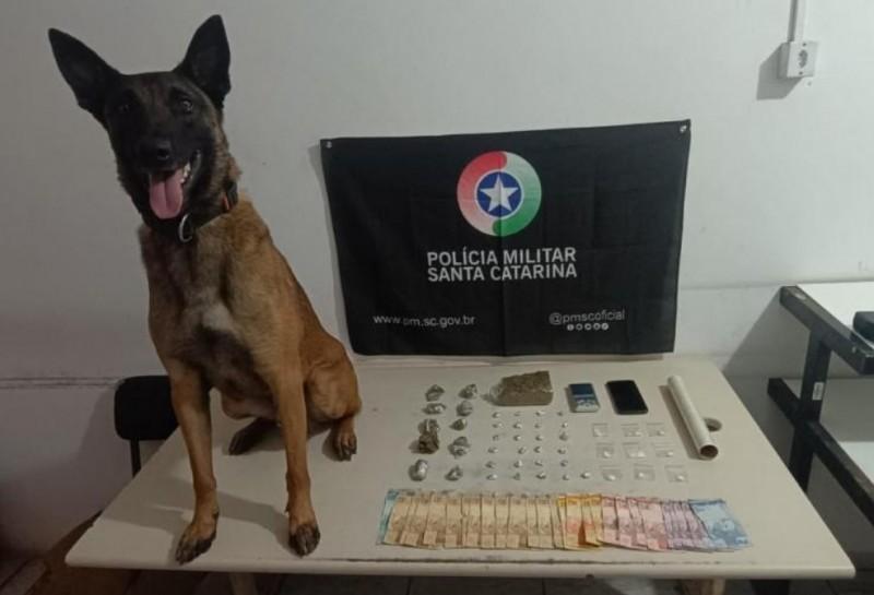 Passo de Torres: com auxílio de cão farejador, PM encontra drogas em casa e prende jovem