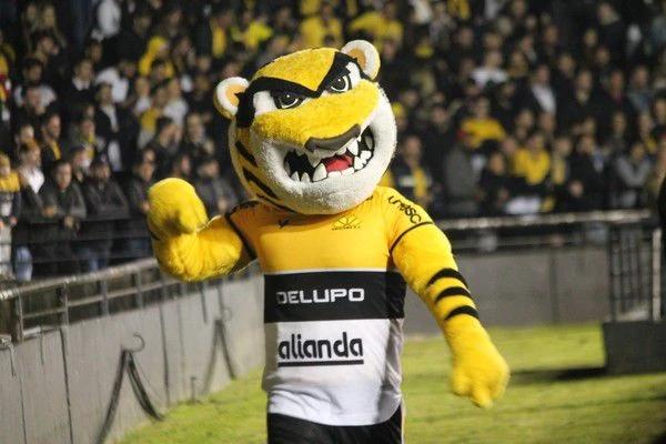Tencati reclama de atitude do mascote do Criciúma e afirma: ‘o adversário ganhou uma força muito grande’