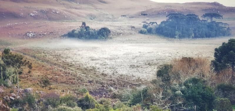 Geada em São Joaquim e temperaturas próximas de 0ºC
