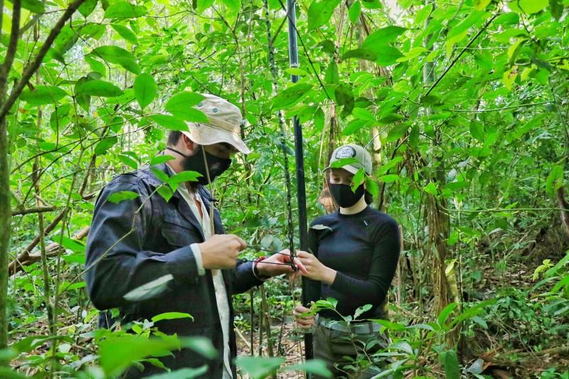 Fundave realiza levantamento da fauna e flora do Parque Natural Municipal Xokleng