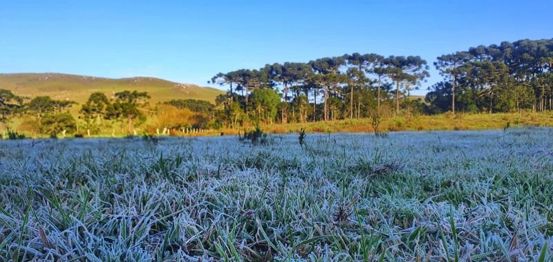 Amanhecer foi com geada e temperatura negativa na Serra