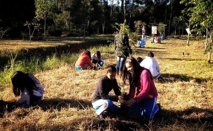 Semana do Meio Ambiente inicia nesta terça-feira em Nova Veneza