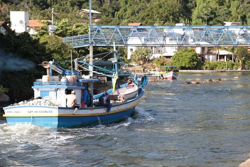 Safra da tainha começa nesta quarta-feira e pescadores aguardam o frio para chegada do peixe