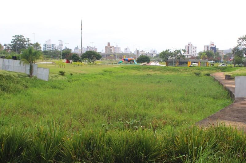 Capivaras, coelhos, gansos e até abelhas: um novo espaço será construído no Parque Altair Guidi