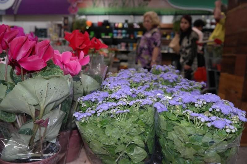Bistek espera incremento de 45% na venda de flores no Dia das Mães