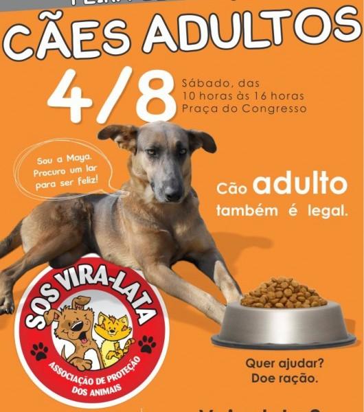 SOS Vira-Lata promove Feira de Adoção neste sábado