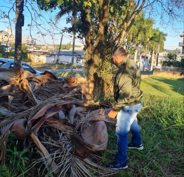 Vigilância Epidemiológica de Içara passa a visitar casas para eliminar água parada