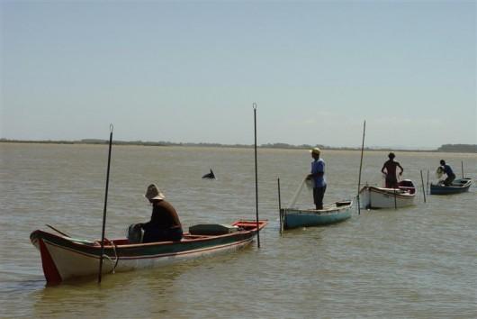 Pescadores precisam fazer recadastramento para nova carteirinha
