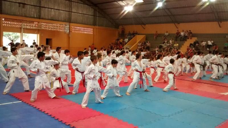 Festival de Karatê reúne crianças em tarde esportiva