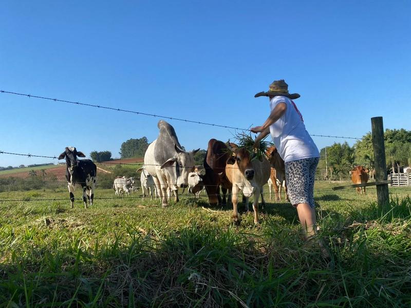 Governo de Içara expande o Programa Porteira Adentro para beneficiar mais agricultores