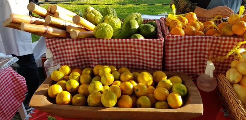 Feira da Agricultura Familiar volta após mais de um ano