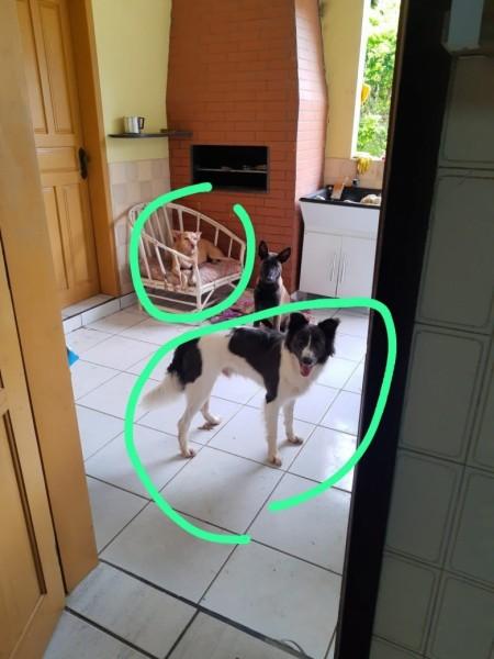 Procura-se Kairos E Sasha