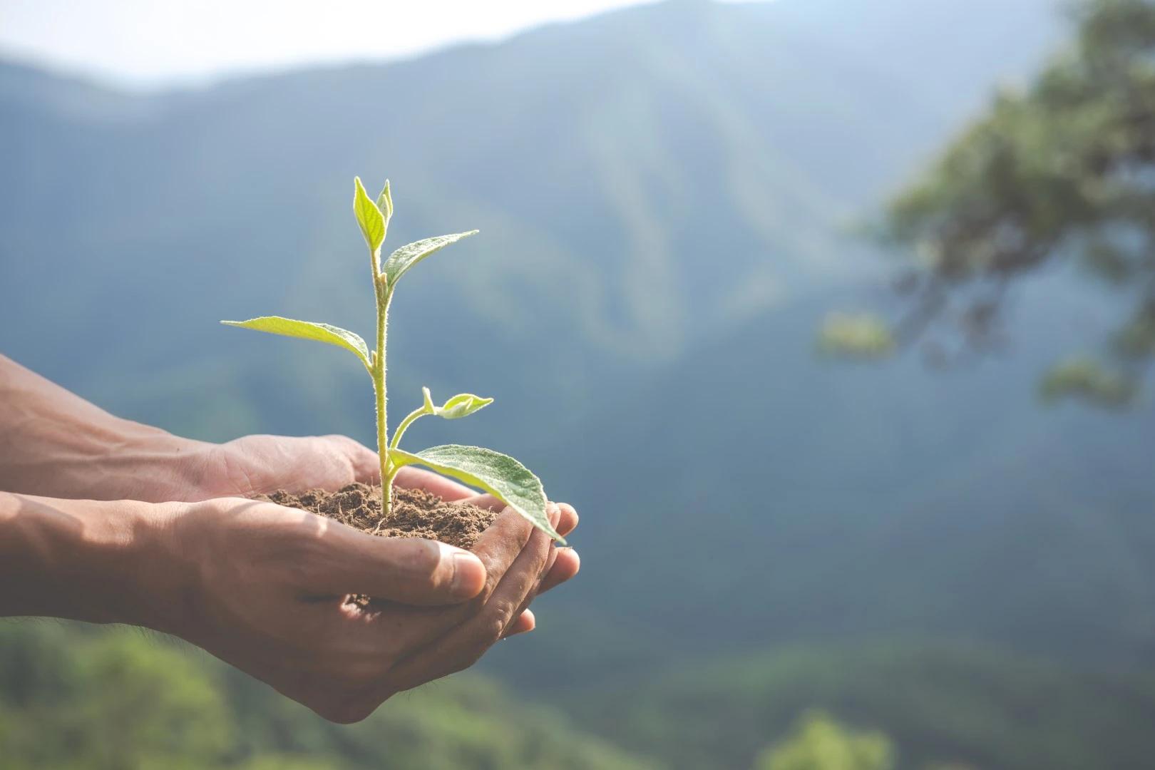 Criciúma lança edital de mais uma edição do Selo Amigo do Meio Ambiente
