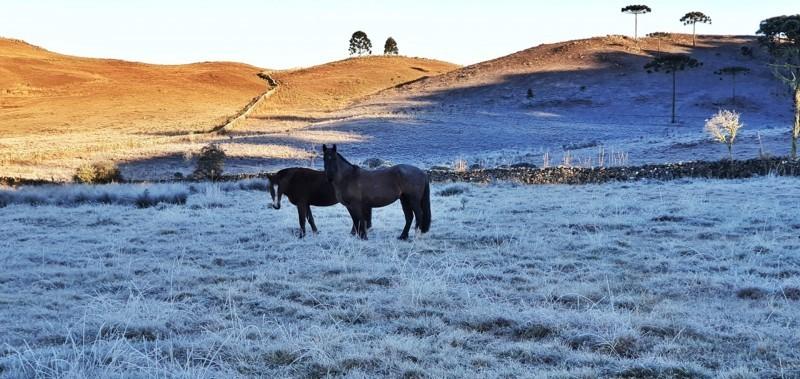 Defesa Civil intensifica alerta de frio extremo em Santa Catarina