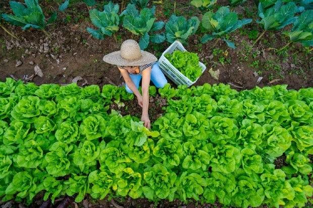 Santa Catarina cria projeto de apoio a pequenos empreendimentos rurais