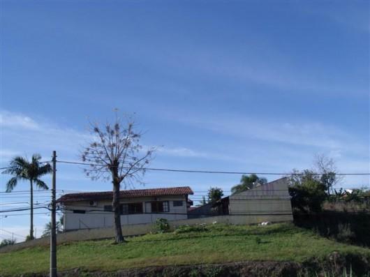 Inverno dá trégua e final de semana será quente
