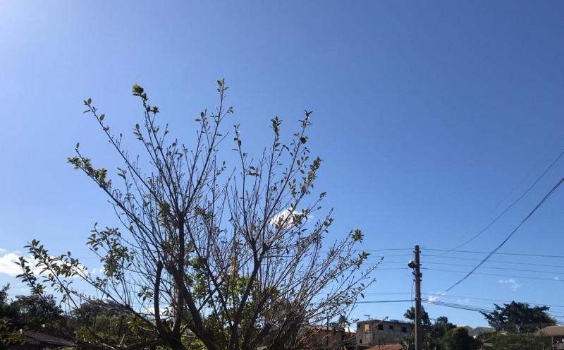 Semana deve começar com temperaturas em elevação na região Sul 