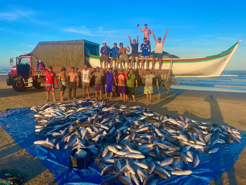 Safra da tainha: pescadores comemoram a captura de 40 toneladas no Campo Bom