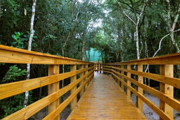 Parques estaduais são alternativa para quem quer fugir da folia