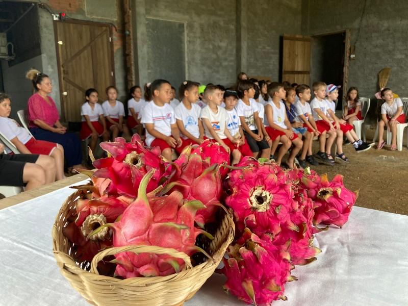 Colônia de férias de Içara leva alunos à plantação de pitaya