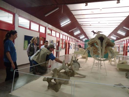 Pesquisadores de baleias franca visitam a Unesc