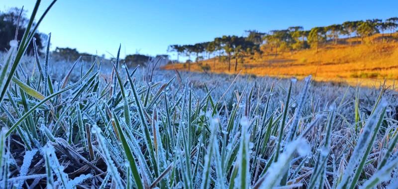 Serra catarinense registra mais um amanhecer com temperaturas negativas e geada