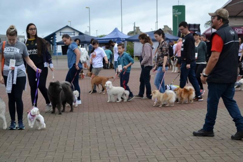Evento especial traz informações sobre cães na Melhor Idade