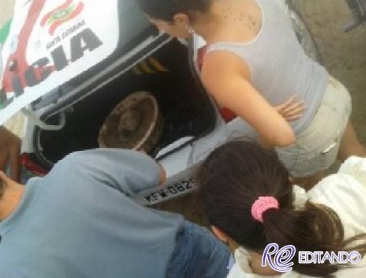 Banhistas encontram crânio enterrado em Balneário Arroio do Silva