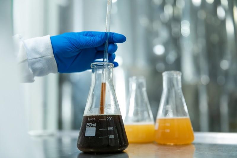 Setor de qualidade acompanha cada detalhe do processo de produção das cervejas artesanais