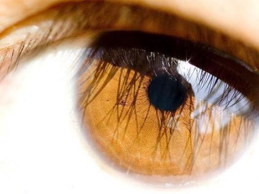 Prioridade para os olhos