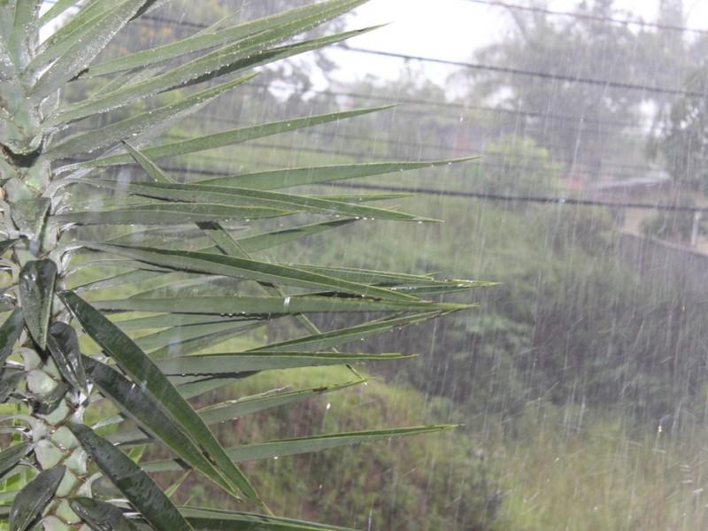 Virada no tempo e chuva \"grossa\"