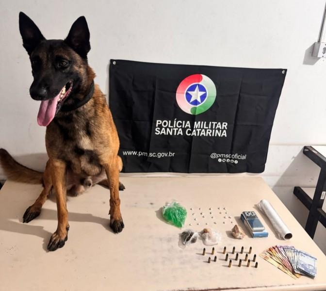 Com auxílio de cão farejador, PM apreende crack, maconha e munição em Araranguá